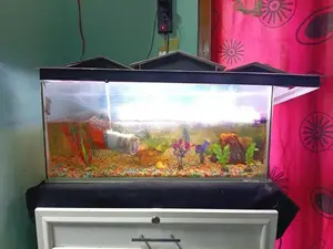 மீன் தொட்டி - Fish Tank
