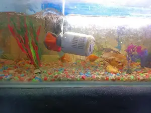 மீன் தொட்டி - Fish Tank