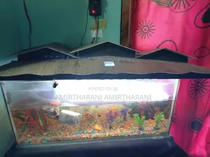 மீன் தொட்டி - Fish Tank