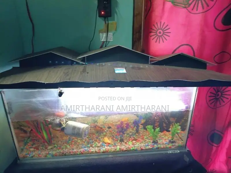 மீன் தொட்டி - Fish Tank