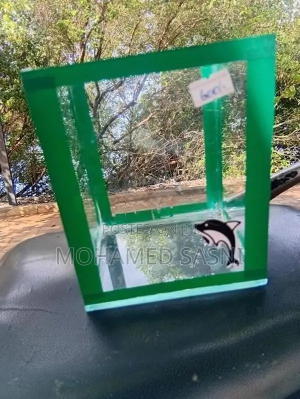 Betta Tank