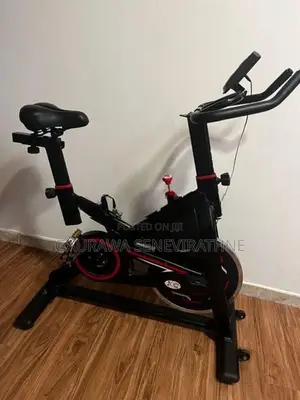 Body One Spin Bike