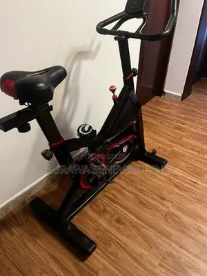 Body One Spin Bike