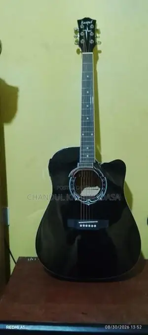 Guitar