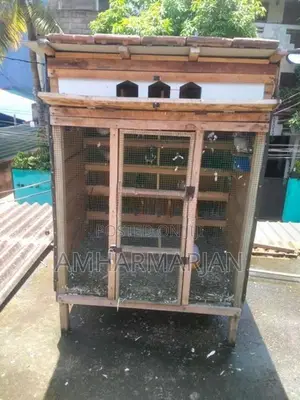 Pigeon Coop