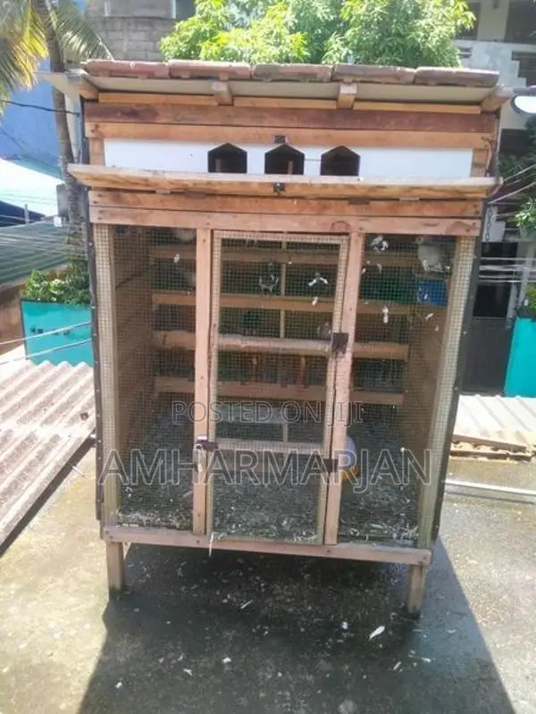 Pigeon Coop