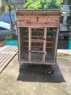 Pigeon Coop