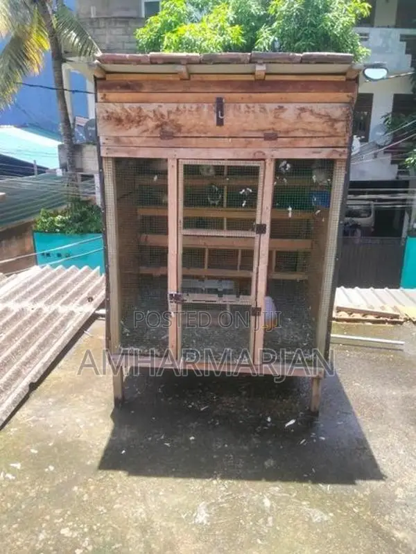 Pigeon Coop