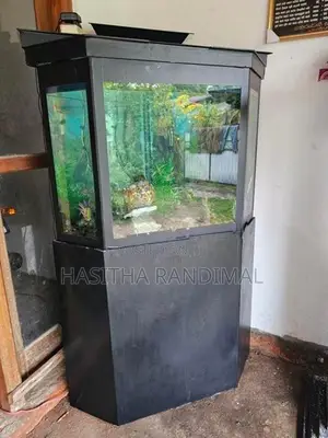 Fish Tank