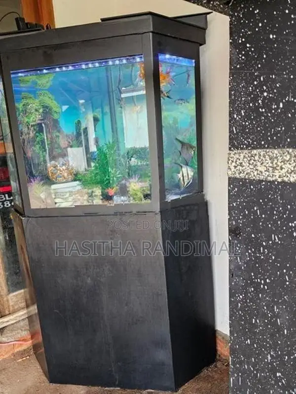 Fish Tank