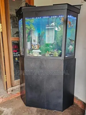 Fish Tank