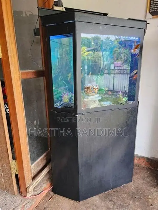 Fish Tank