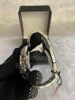 Paulareis Automatic Watch