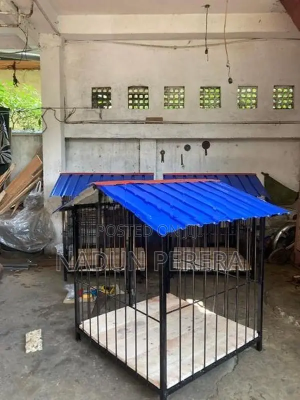 Dog Cage
