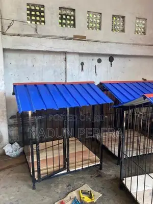 Dog Cage