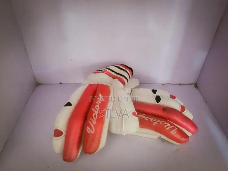 Cricket Helmet (Xs Size) With Gloves