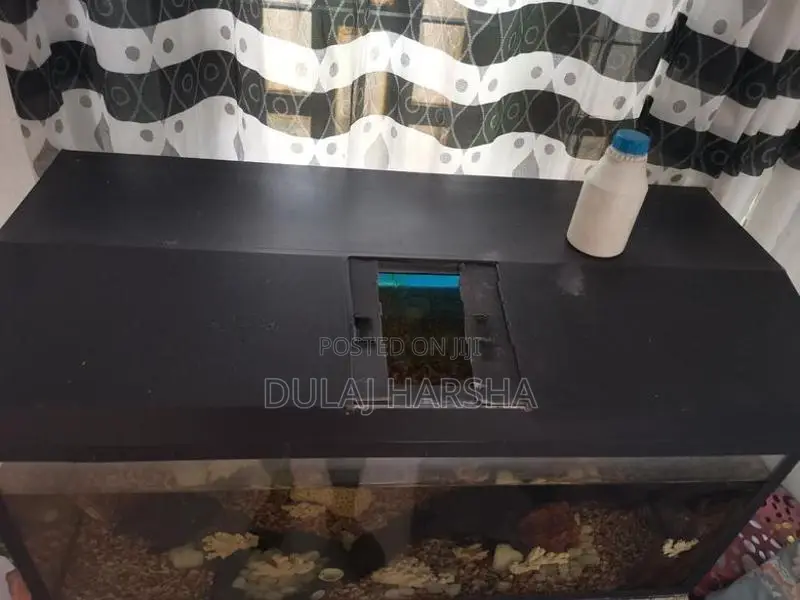 Fish Tank With Stand
