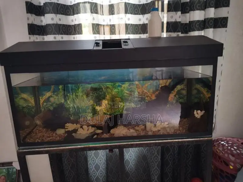 Fish Tank With Stand