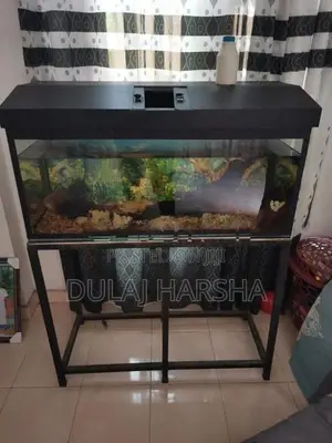 Fish Tank With Stand
