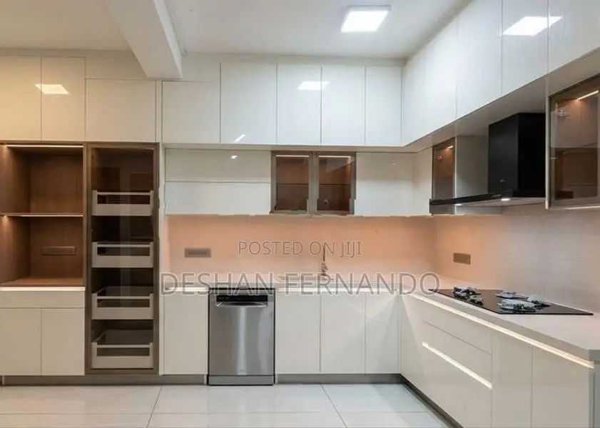 Modern pantry cupboards