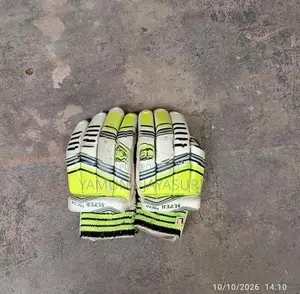 Cricket Set