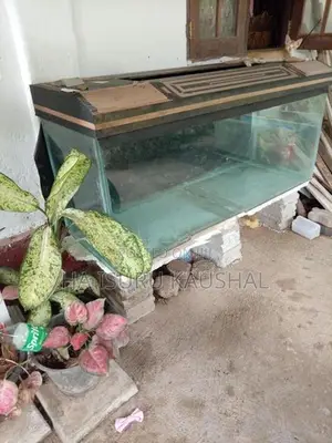 Fish Tank