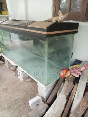 Fish Tank
