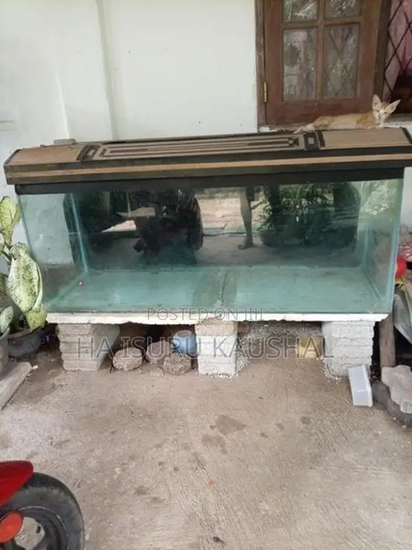 Fish Tank