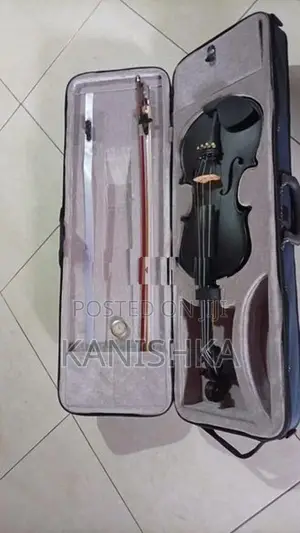 Carolina Violin