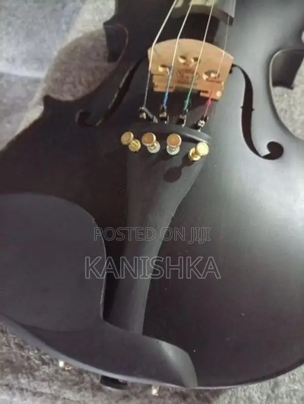 Carolina Violin