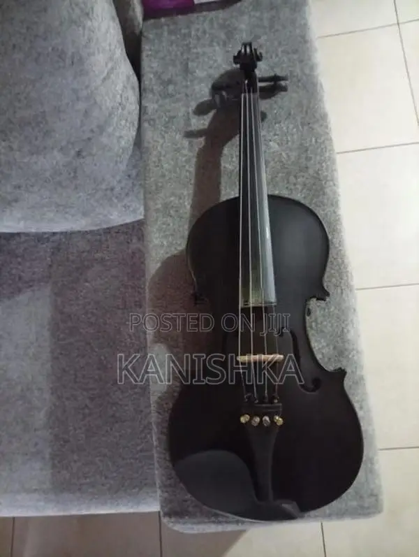 Carolina Violin