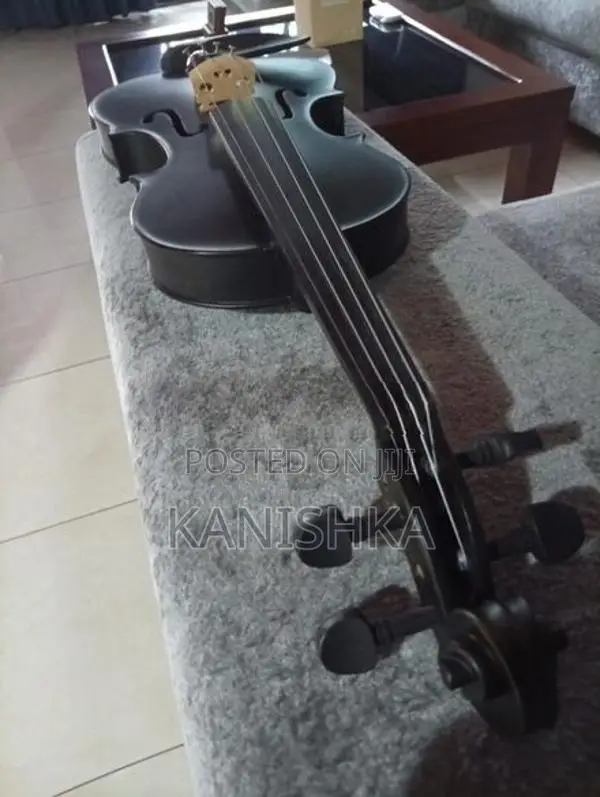 Carolina Violin