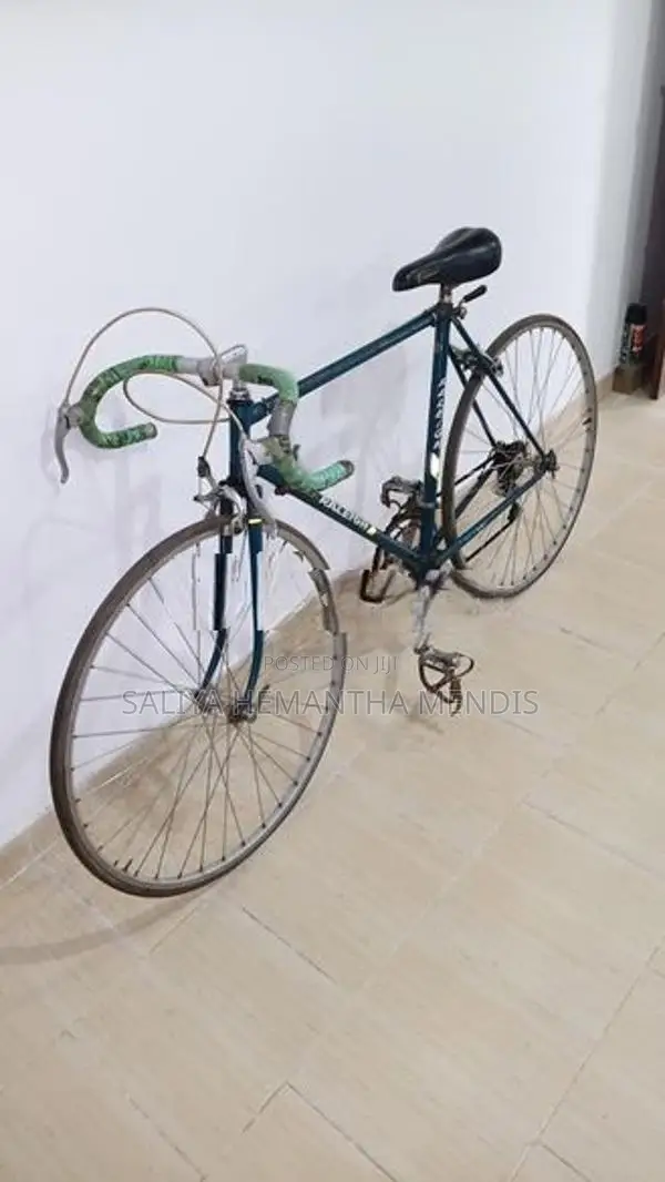 Raleigh Racing Bicycle (Changer)