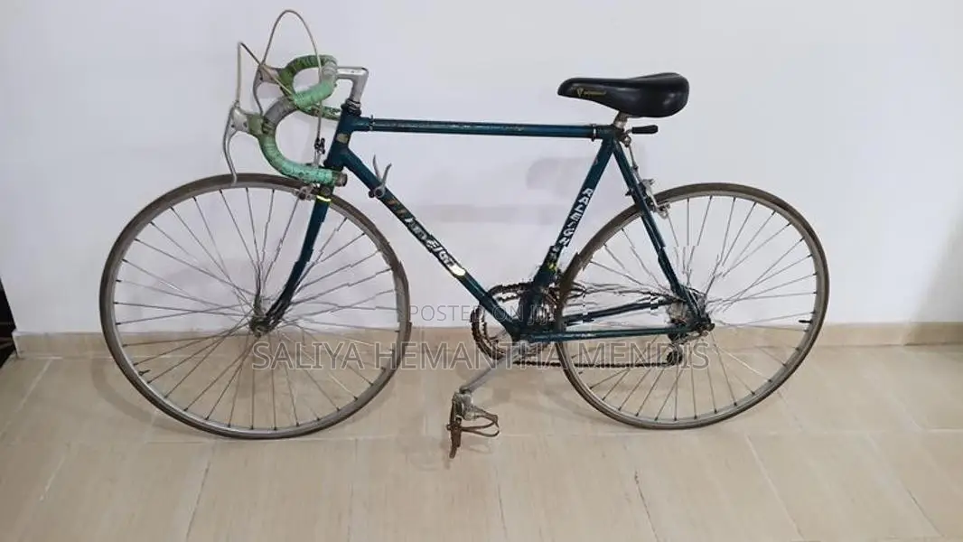 Raleigh Racing Bicycle (Changer)