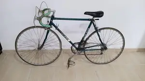 Raleigh Racing Bicycle (Changer)