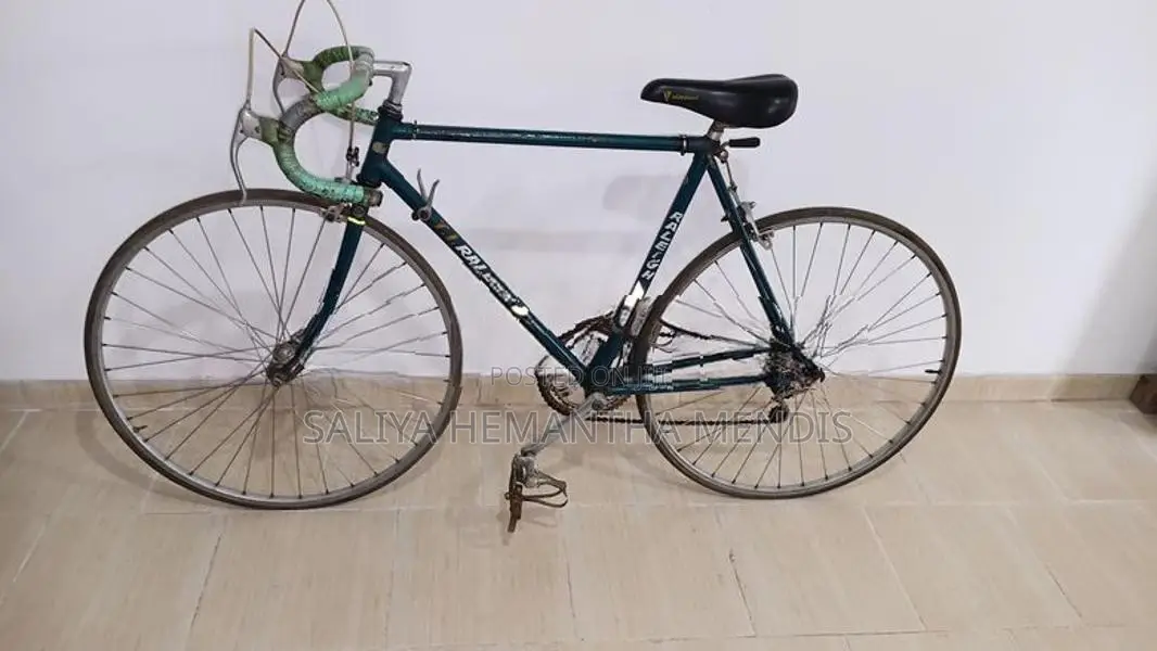 Raleigh Racing Bicycle (Changer)