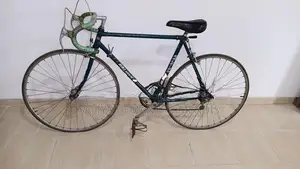 Raleigh Racing Bicycle (Changer)