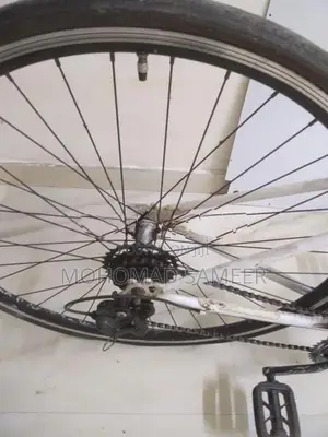 Sport Bicycle ( Japan)