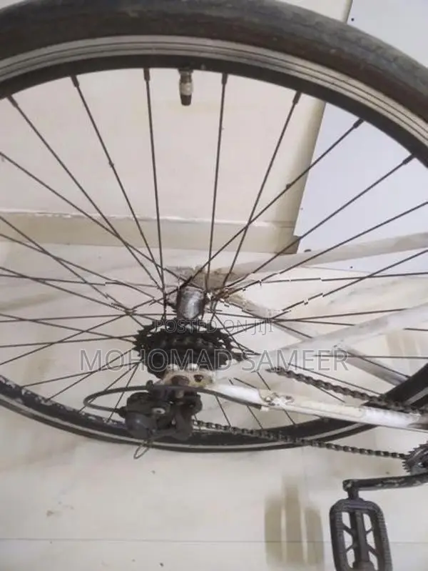 Sport Bicycle ( Japan)
