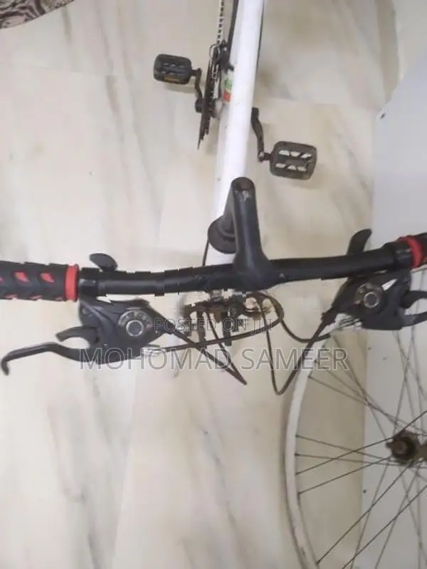 Sport Bicycle ( Japan)