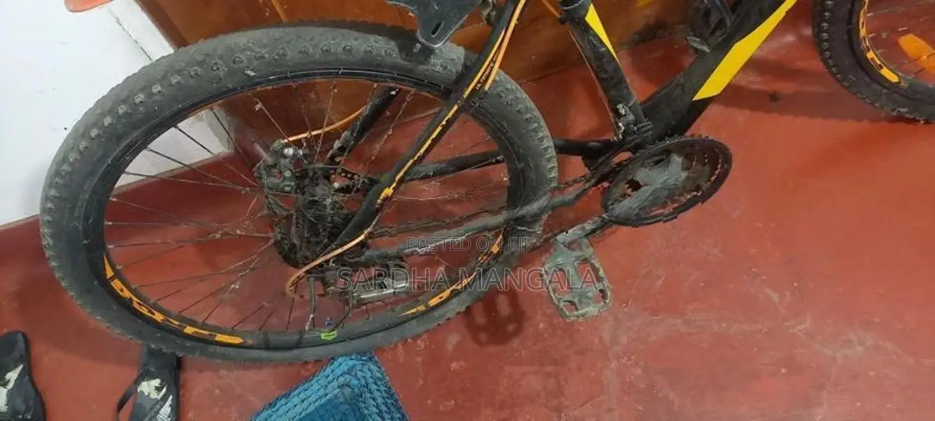 Bicycle