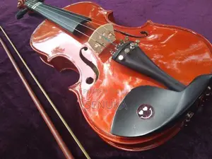 Violin