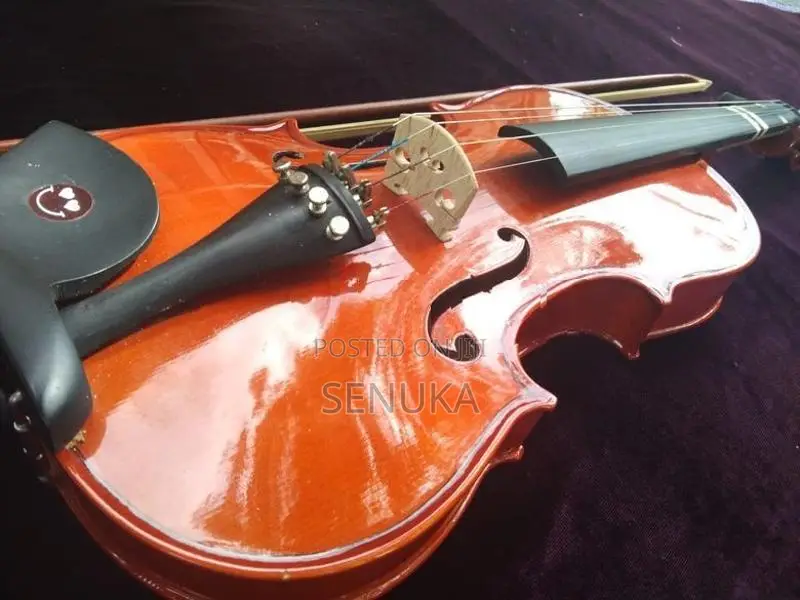 Violin