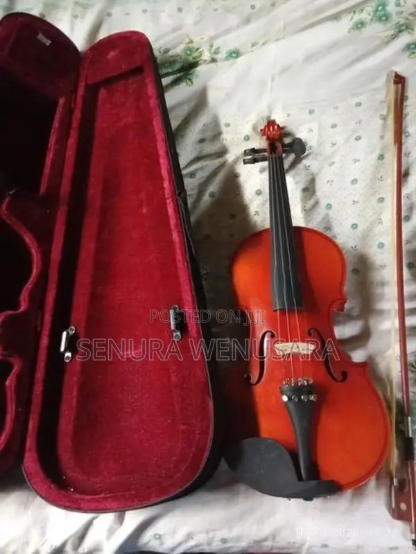 Violin-Super Lark