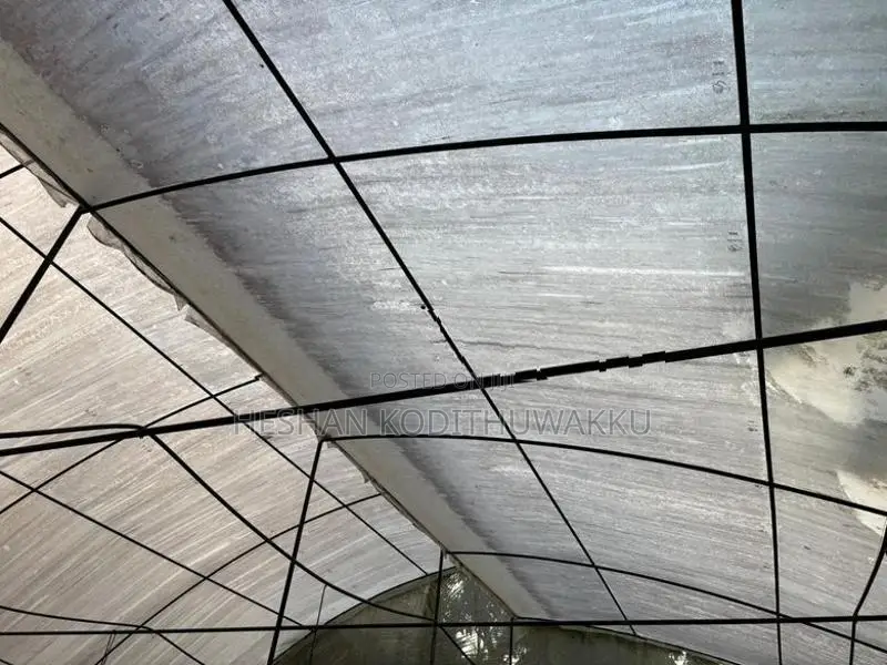 Poly Tunnel