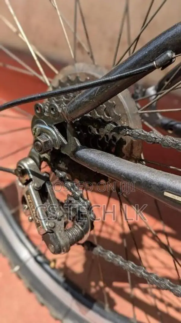 DSI Glamour Foot Bicycle