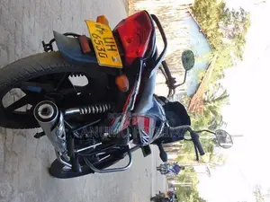 Hero Passion Plus 2008
