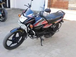 Hero Passion Plus 2008