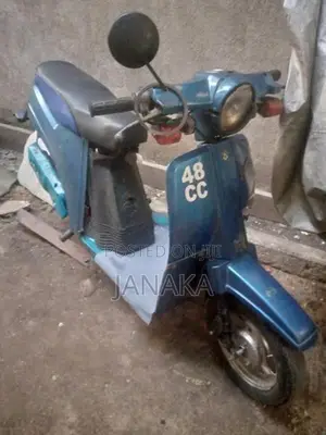 Bajaj Chetak Medium 2015