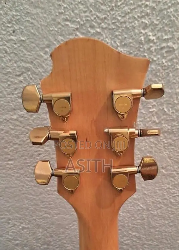 Burney mg85x Artist Signature Guitar